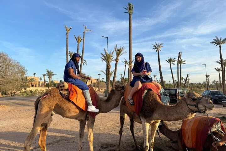 Camel Ride Through Palmeraie of Marrakech